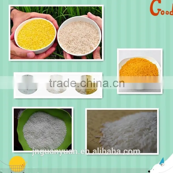 Artifical Rice Product Machine Nurtritional Rice Product Machine Man-made Rice Product Machine photo-5