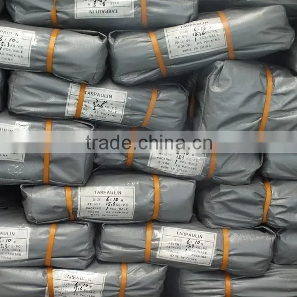 Polythene Sheets Roll Plastic Sheet photo-5