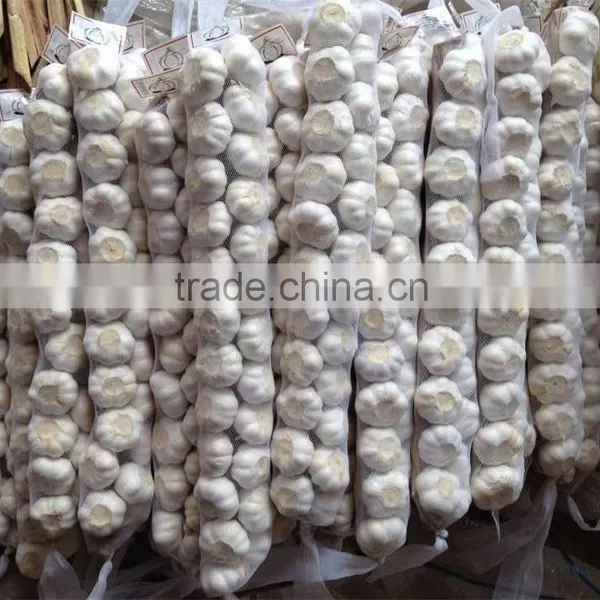 Fresh Pure White Garlic 5.0cm Packed In Carton photo-3