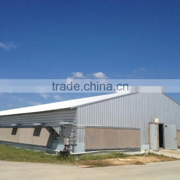 Low Cost Professional Steel Structure Poultry House photo-3