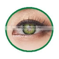 2015 NEW Arrival Seeshell Contact Lens Korea Lenses photo-2