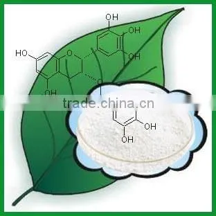 EGCG 70% photo-2