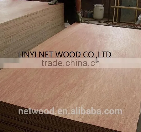 High Quality Bintangor Plywood 2.5mm/3.6mm/4.6mm photo-4