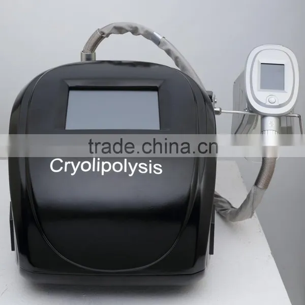 Local Fat Removal 2016 Newest Cryolipolysis Body Cool Shape Slimming Machine Portable Design Fat Reduce photo-2