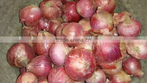 Fresh Red Onion