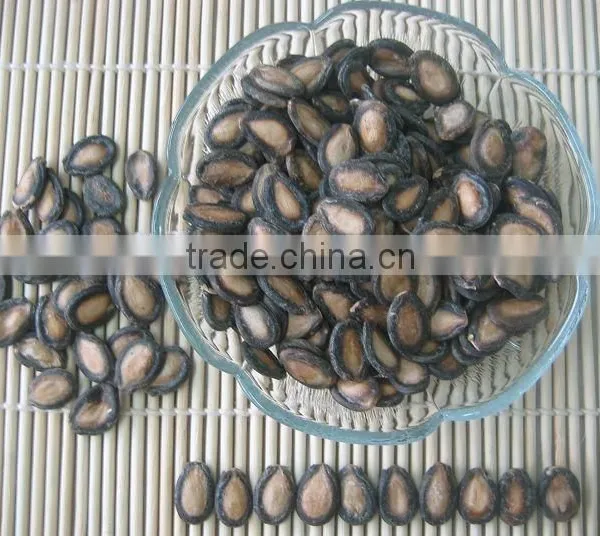 Hot Products Grade A Sunflower Seeds photo-2