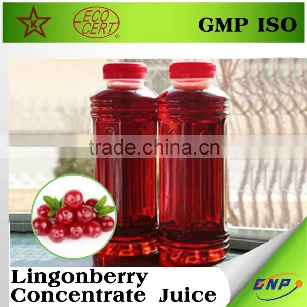 Lingonberry Concentrate Bulk Fruit Juice photo-3