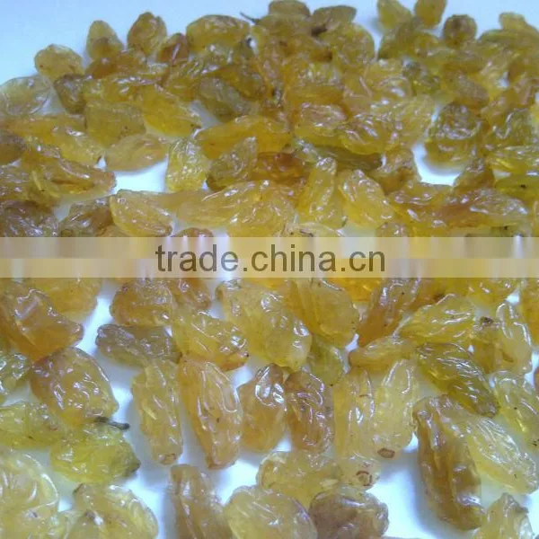 Raisin photo-6