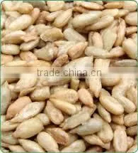 Sunflower Kernels Reasonable Prices Dried Sunflower Seeds Peeled Sunflower Seeds photo-4