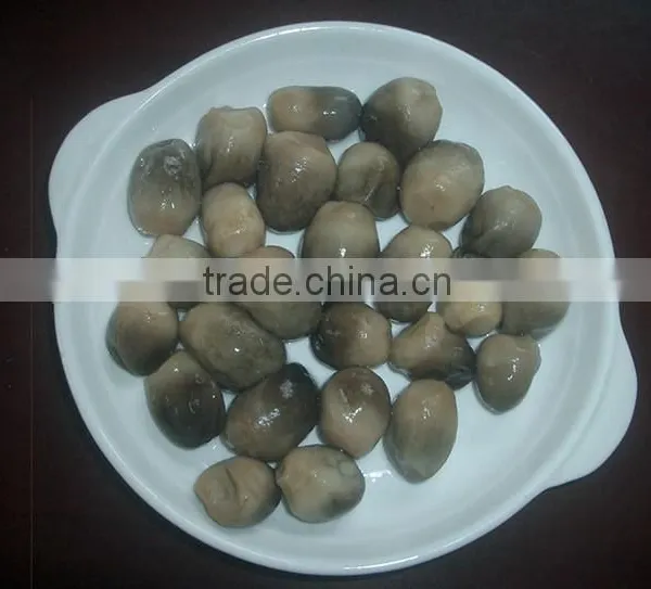 2016 Canned Straw Mushroom