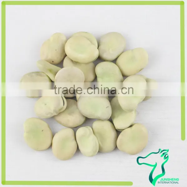 Whole Broad Beans (Faba Beans)