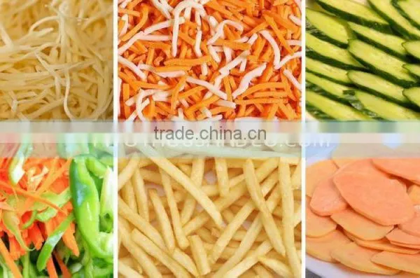 2016 High Quality New Design Best Price for Industrial Fruit Chopper photo-2
