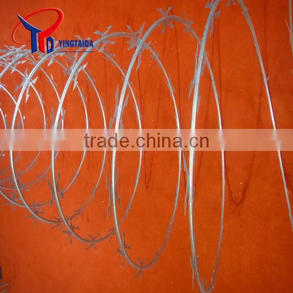 Barbed Wire Security Fence photo-2