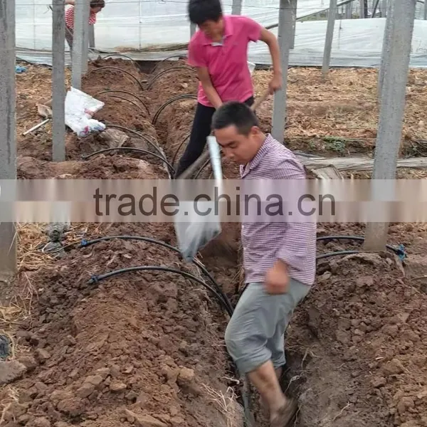 Greenhouse Irrigation Project for Grape photo-4