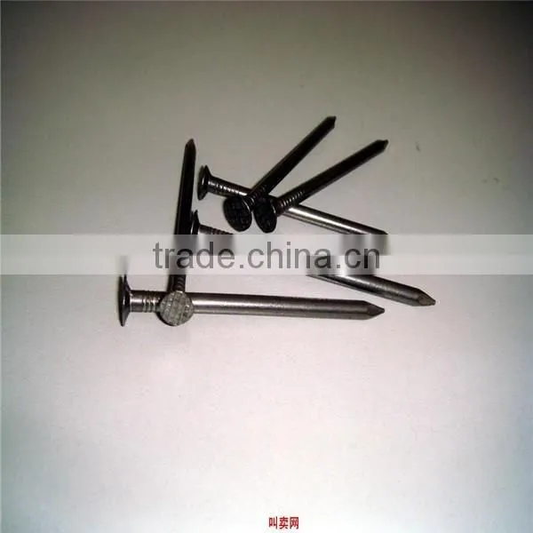 Common Nail / Common Wire Nail / Common Iron Nail photo-6