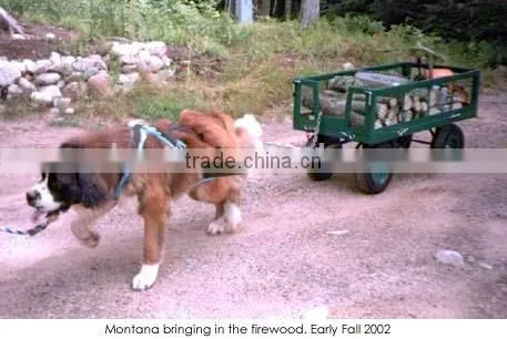 4 Wheel Small Wood Folding Dog Pulling Wagon photo-2