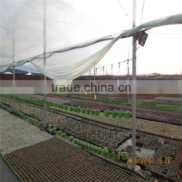 Multispan Tunnel Greenhouse Agricultural Green Houses for Strawberry Grape Raspberry photo-6