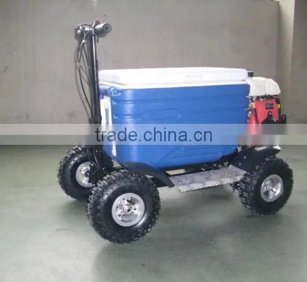 43cc EPA Approved Gasoline Refrigerator Scooter/cooler Box Scooter for Adult (TKS-S43) photo-4