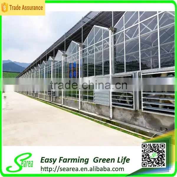 Grape Growing Agriculture Green House for Sale photo-6