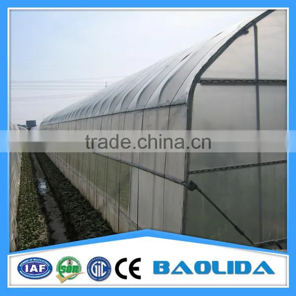 Galvanized Steel Pipes Greenhouse For Agriculture Farming photo-5