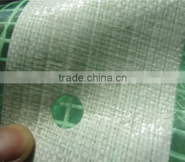 Waterproofing Greenhouse Mesh Tarpaulin, Clear Transparent Greenhouse Leno, Various Usage Greenhouse Tarpaulin photo-2