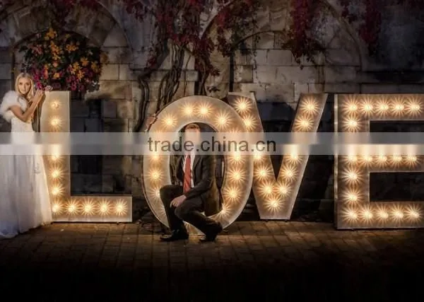 Holiday Lighting for Decoration, Outdoor Holiday Lighting Signs photo-5