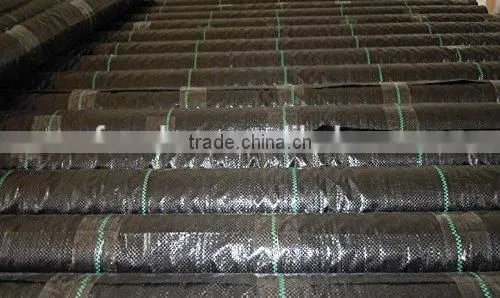 Waterproof Tent Cover Landscape Fabric photo-6