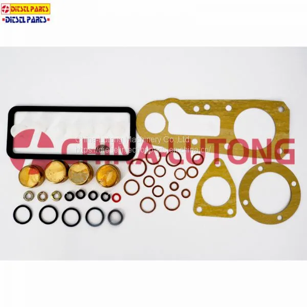 Diesel Fuel Pump Repair Kit-fuel Injector Pump Rebuild Kit 1 417 010 002 for JMC Engine photo-2