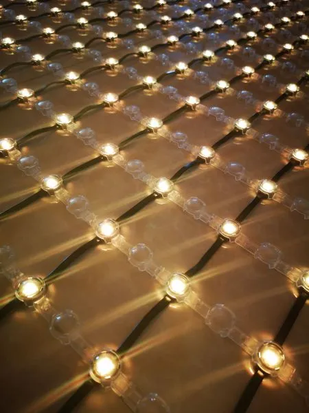 12V SMD3535 Waterproof Ip65 RGB D20 Mesh Screen Light For Decorative Lighting photo-3