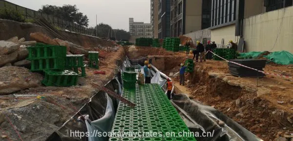 Rain Water Collector System