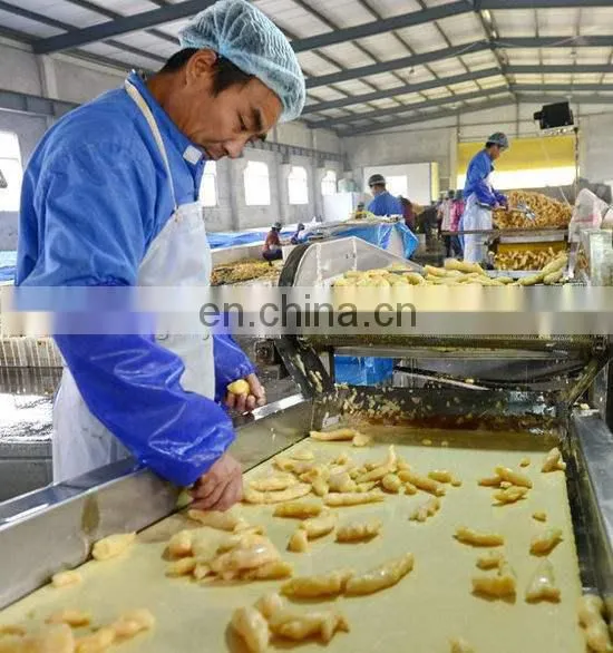 Automatic Ginger Processing Plant photo-2