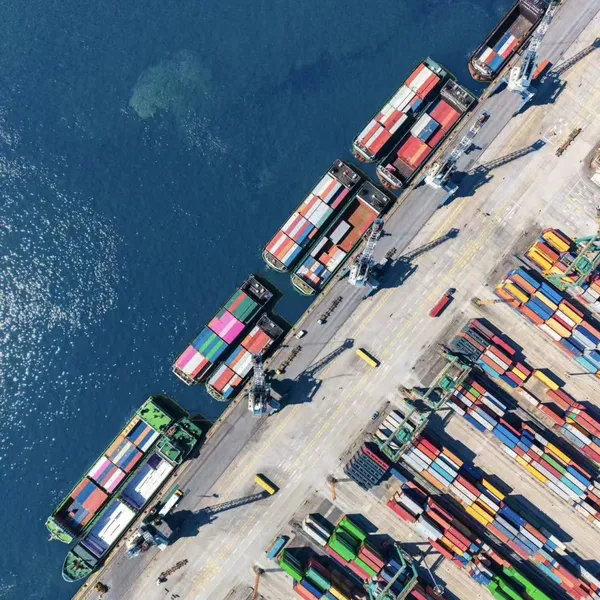 Sea Freight/China Import and Export