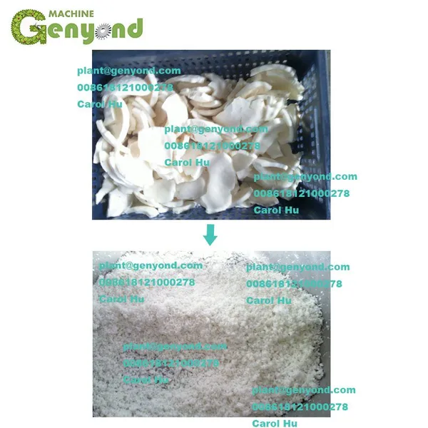 Stainless Steel Coconut Milk Extractor, Coconut ( Cokernut) Milk Machine Withfactory Price photo-3