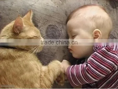 Oct. Hot 2014 * Babycare Products * Addie * Amyoung Guangzhou * China Supplier