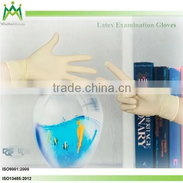 Powdered and Powder Free Gloves Malaysia Price photo-2
