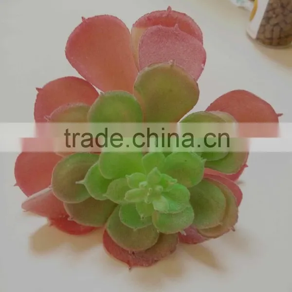 HOT Colored Fake Succulet Plants Succulent Plants for Wholesale photo-2