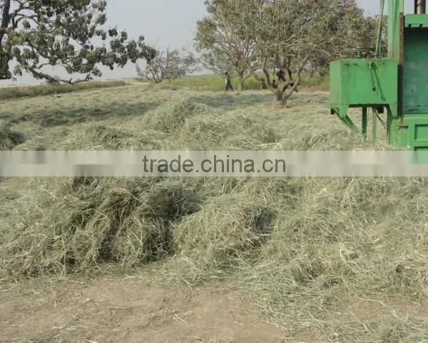 Rohded Grass for Animal Feed