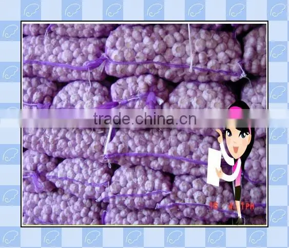 15g-50g Plastic Mash Bag