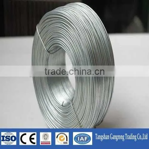 Electro Galvanized Binding Wire China Supplier photo-4