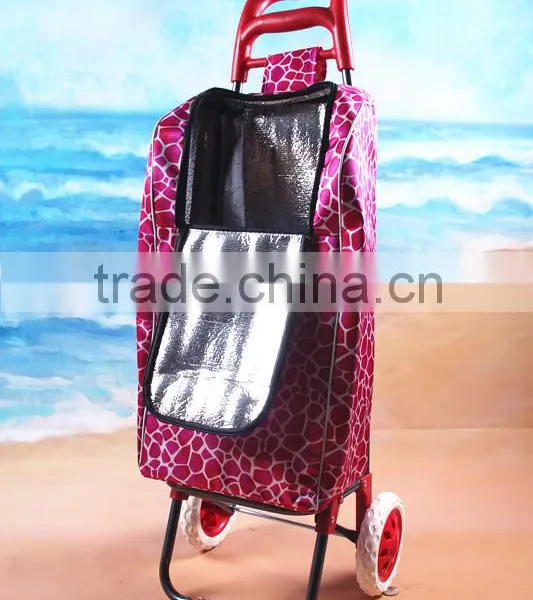 Shopping Luggage Cart