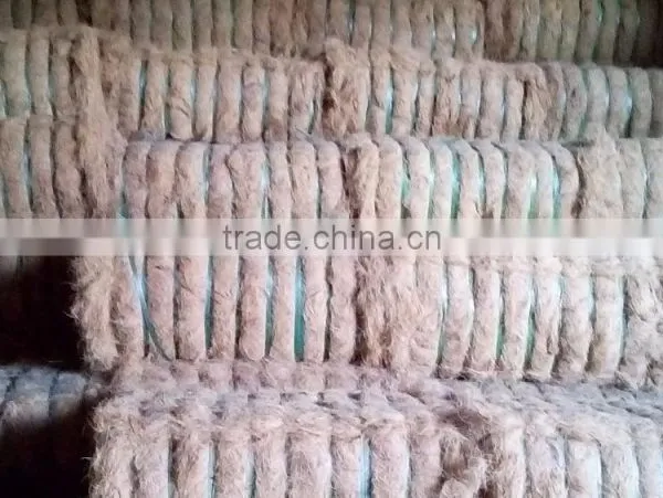 Coconut Fiber (QQ : 2598494113) photo-4