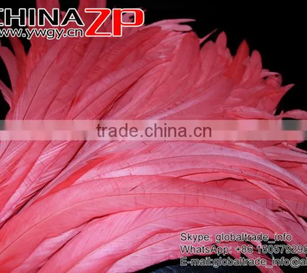 NO.1 Supplier CHINAZP Bulk Sale Good Quality Cheap Colored Melon Red Fully Dyed Rooster Chicken Feathers photo-3