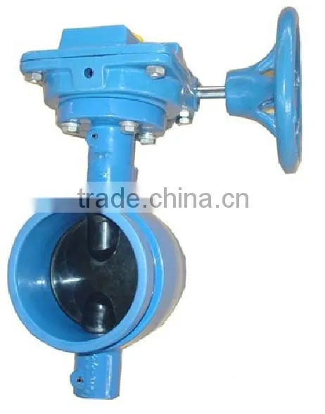 Butterfly Valve China Supplier photo-2