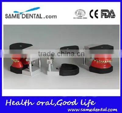 Dental Orthodontic Operational Training Model DEA-32 photo-5