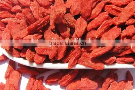 A Grade Goji/gojiberry/wolfberry/ photo-4