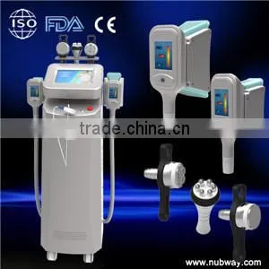 2 Cryo Handles Work Together Cryolipolysis Equipment Skin Lifting Cryolipolysis Fat Freeze Weight Loss Fat Reducing Machine Vertical photo-2
