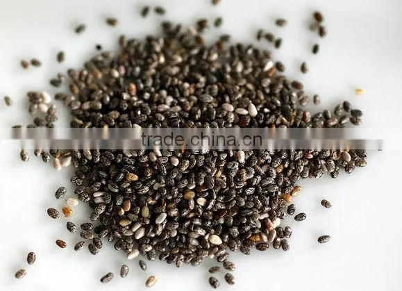 Organic Chia Seed