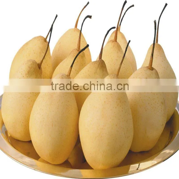 10kg ya Pear