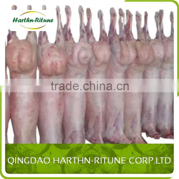 Halal Meat Wholesale Frozen Lamb Carcass