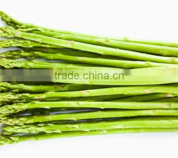 Frozen Asparagus photo-3